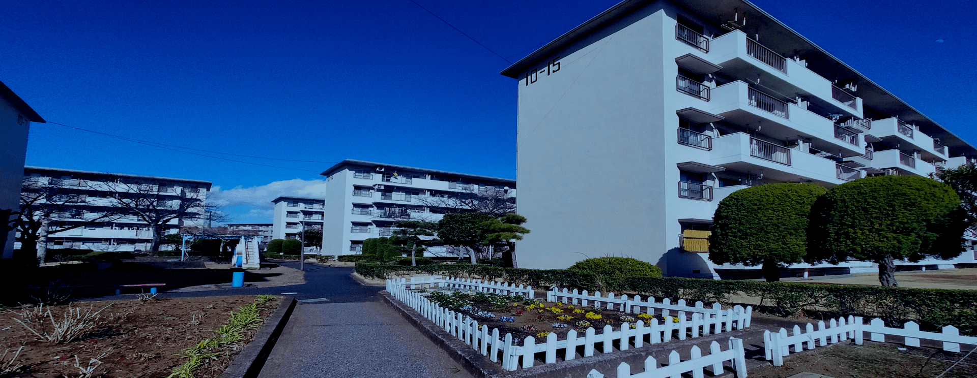 会社情報