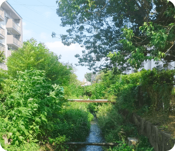 緑豊かな環境